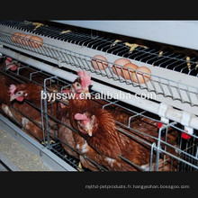 Une cage de poulet cage Cage couche de poulet pour le climat tropical